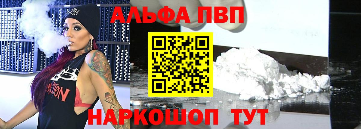 Альфа ПВП СК Владимир
