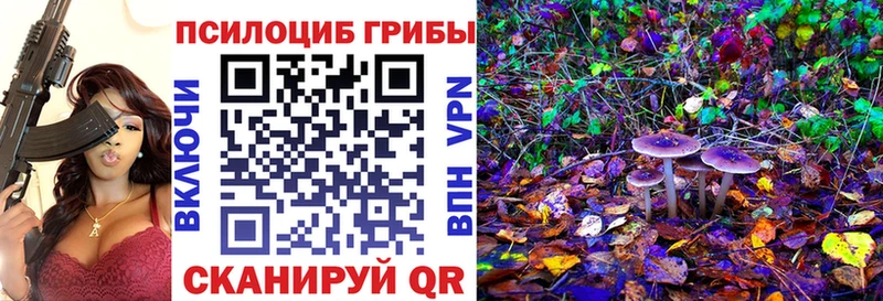 дарнет шоп  Владимир  Галлюциногенные грибы Psilocybine cubensis 
