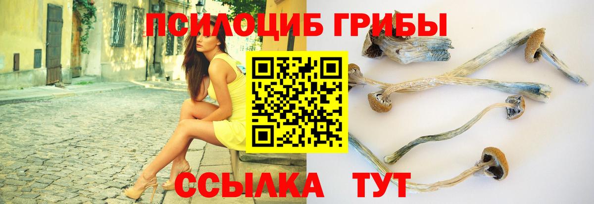 Псилоцибиновые грибы мухоморы  Вход с VPN  купить наркотик  Владимир 