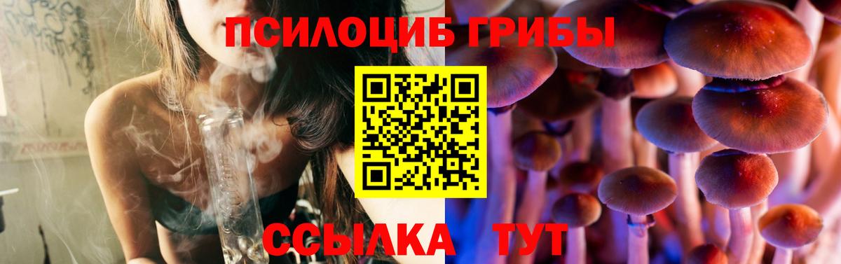 Галлюциногенные грибы Magic Shrooms Владимир