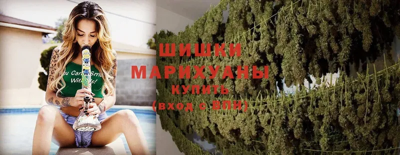 Каннабис SATIVA & INDICA  Владимир 